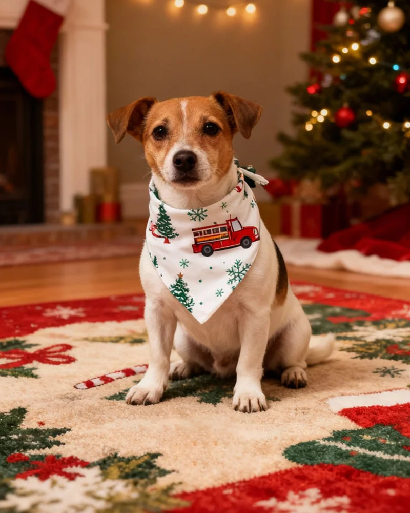 Christmas Family Matching Pajama Sets - Soft & Festive