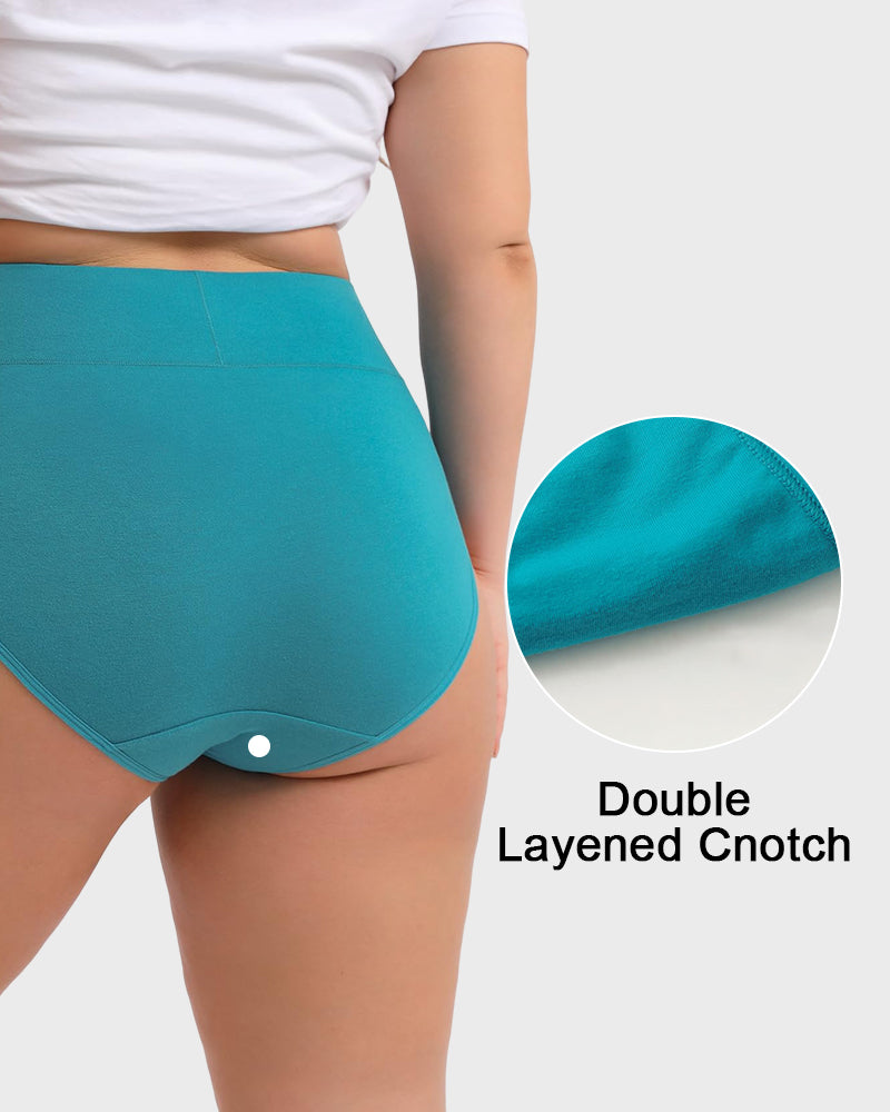 Women's Plus Size Cotton High Waisted Briefs 4-Pack