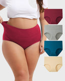 Women's Plus Size Cotton High Waisted Briefs 4-Pack